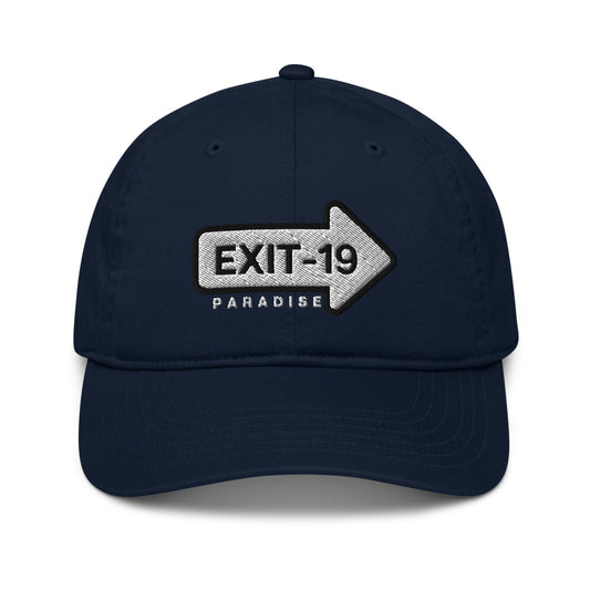 Organic Baseball Dad Hat